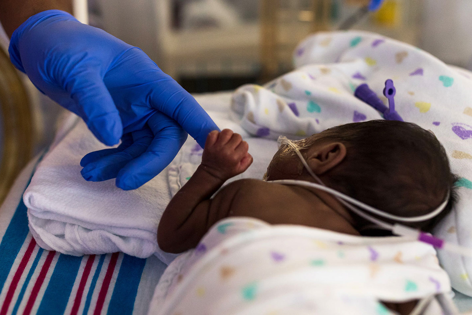 NICU baby holding a parent's finger